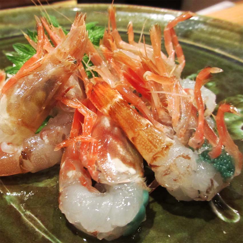 三国漁港　がさえびお造り