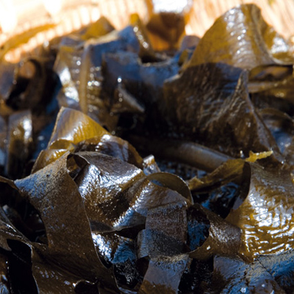 もみわかめ もみわかめ