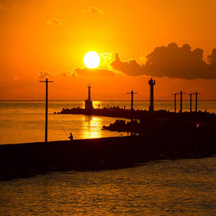 三国港突堤（エッセル堤）り