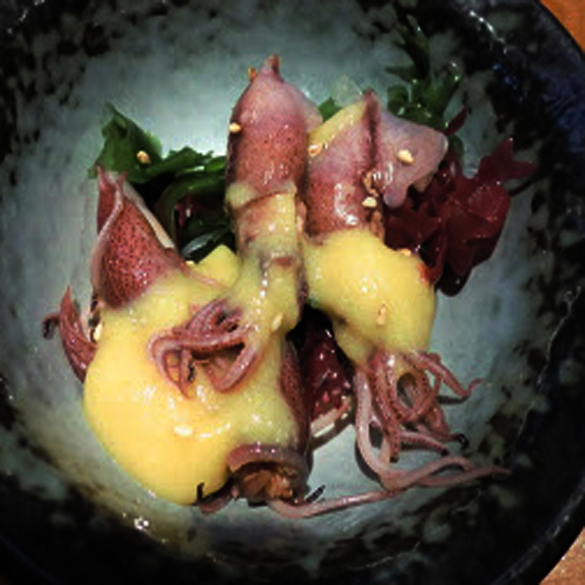 三国漁港　ホタルイカ