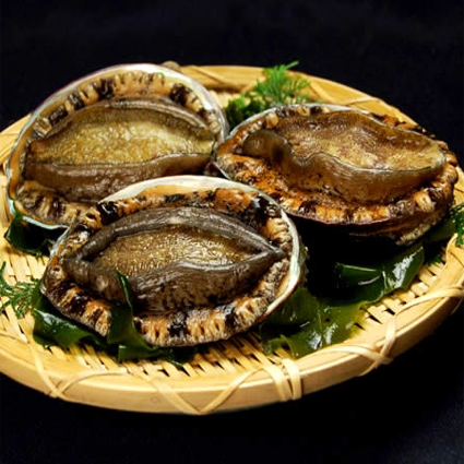 三国町アワビ 三国町アワビ