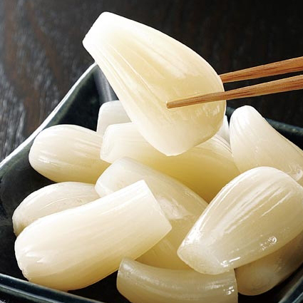 三国町花らっきょう 三国町花らっきょう