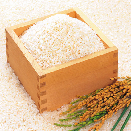 福井のコシヒカリ